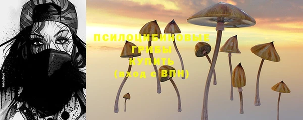 круглые Каменка