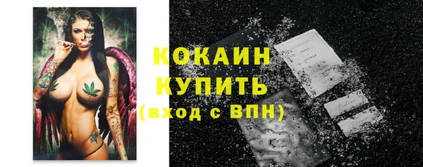 apvp Каменногорск