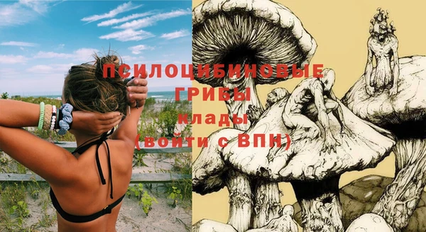хмурый Каменск-Шахтинский