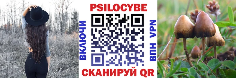 МЕГА ТОР  Красноярск  Псилоцибиновые грибы GOLDEN TEACHER 